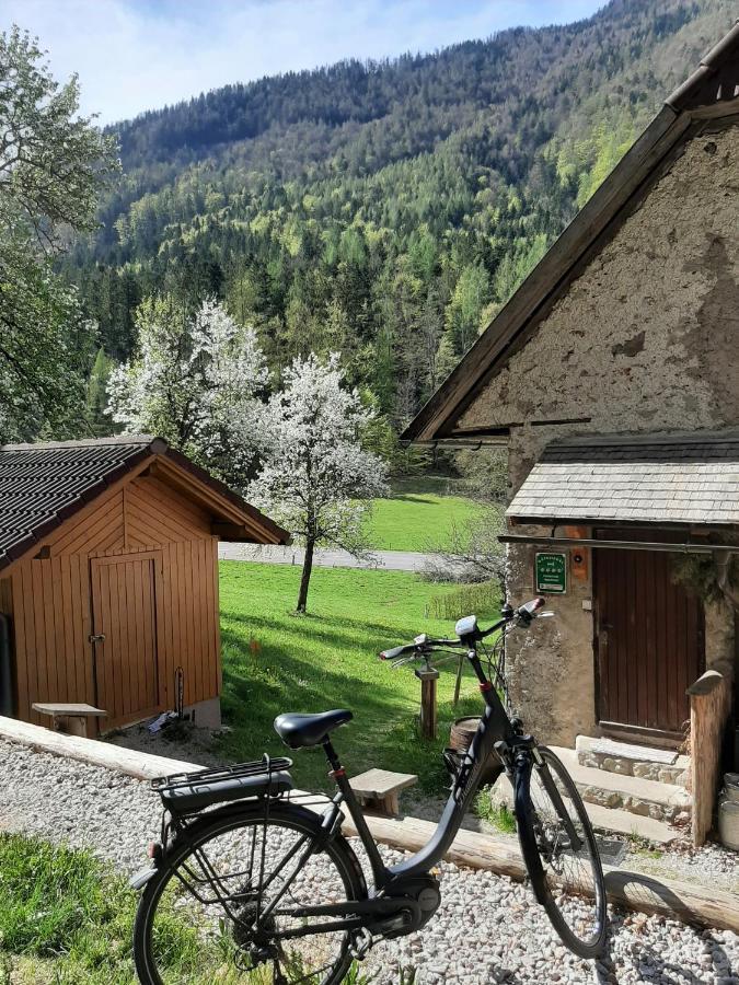 Ferienhaus Hirschnest Sankt Pankraz Extérieur photo