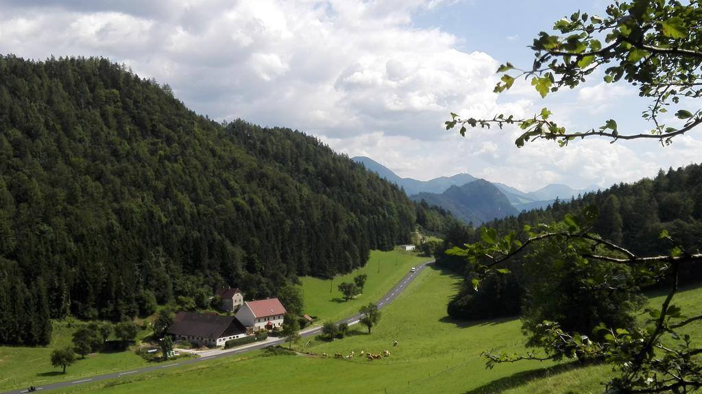 Ferienhaus Hirschnest Sankt Pankraz Extérieur photo
