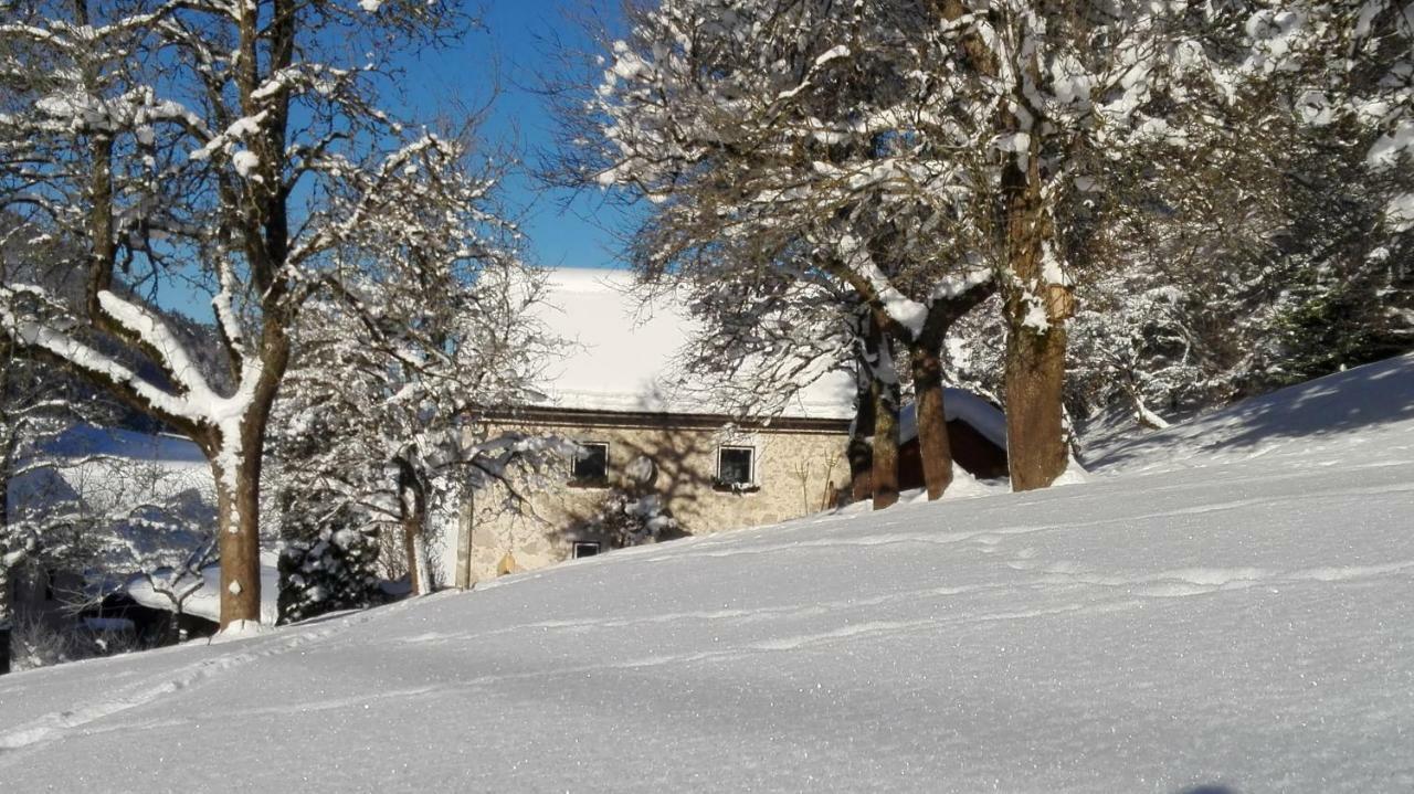 Ferienhaus Hirschnest Sankt Pankraz Extérieur photo